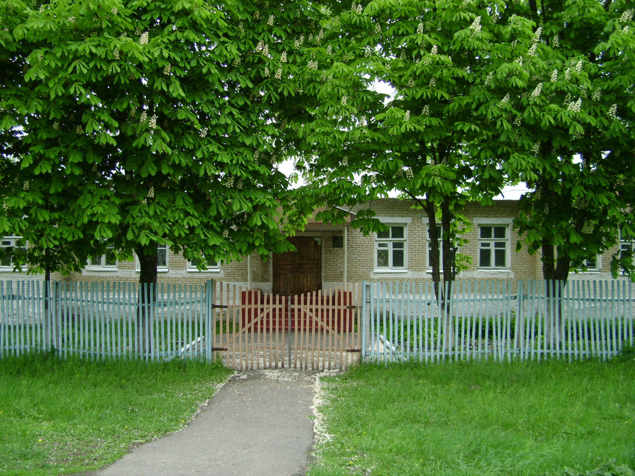 школа